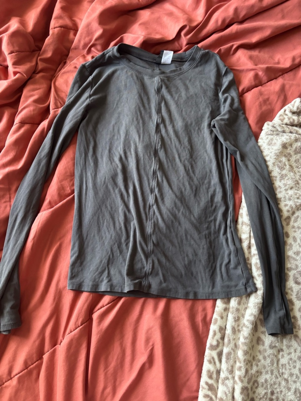 Women’s Long Sleeve Crew Neck Top - Gray
